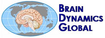 Brain Dynamics